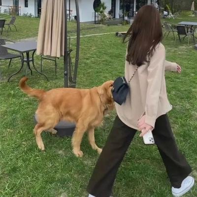 情陷曼哈顿